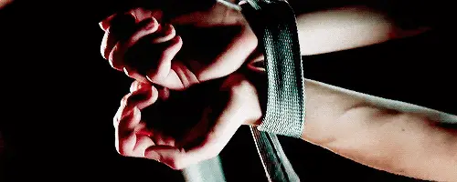 西檬之家k9犬系是什么?探索你的字母圈新属性 一