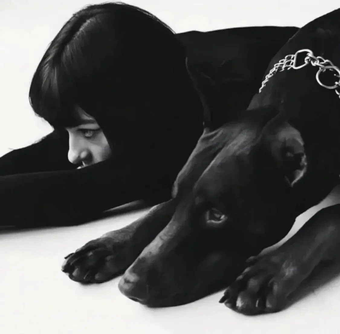 西檬之家字母圈的小圈是什么?你了解这一隐秘世界吗? 一