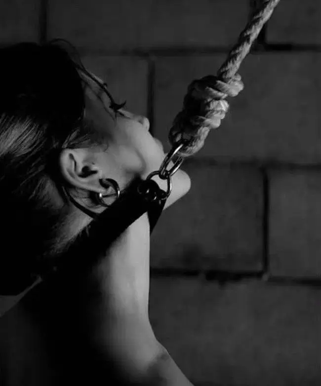 西檬之家k9犬系实践入门指南,你准备好了吗? 一