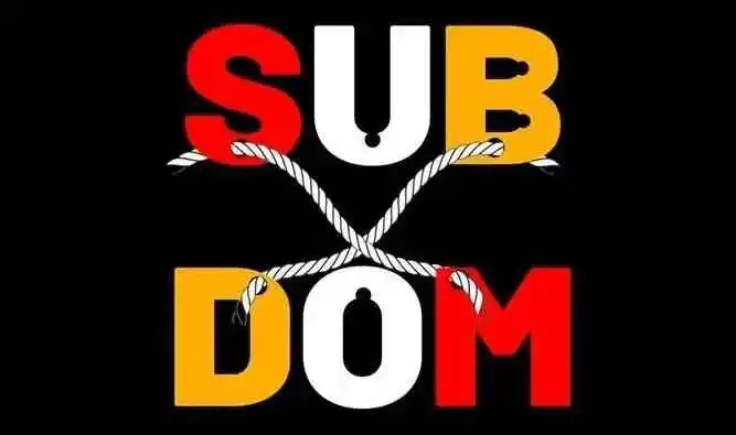 西檬之家成为一个优秀的DOM需要了解什么?字母圈新人指引 一