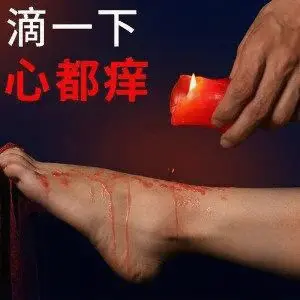 西檬之家k9犬系是什么?探索犬系文化与字母圈的关系 一