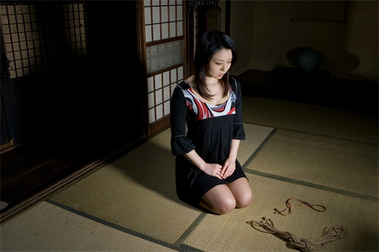 西檬之家字母圈switch角色解析与实践指南 一