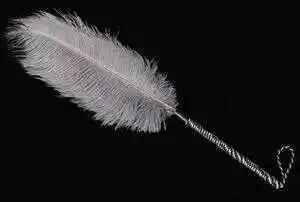 西檬之家字母圈中安全词的重要性在哪里? 一