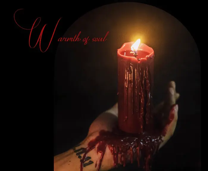 西檬之家k9犬系的世界探索与体验指南 一