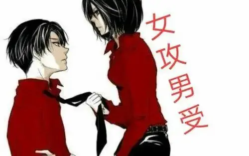 西檬之家DOM角色解析,字母圈新人如何掌握支配的艺术 一