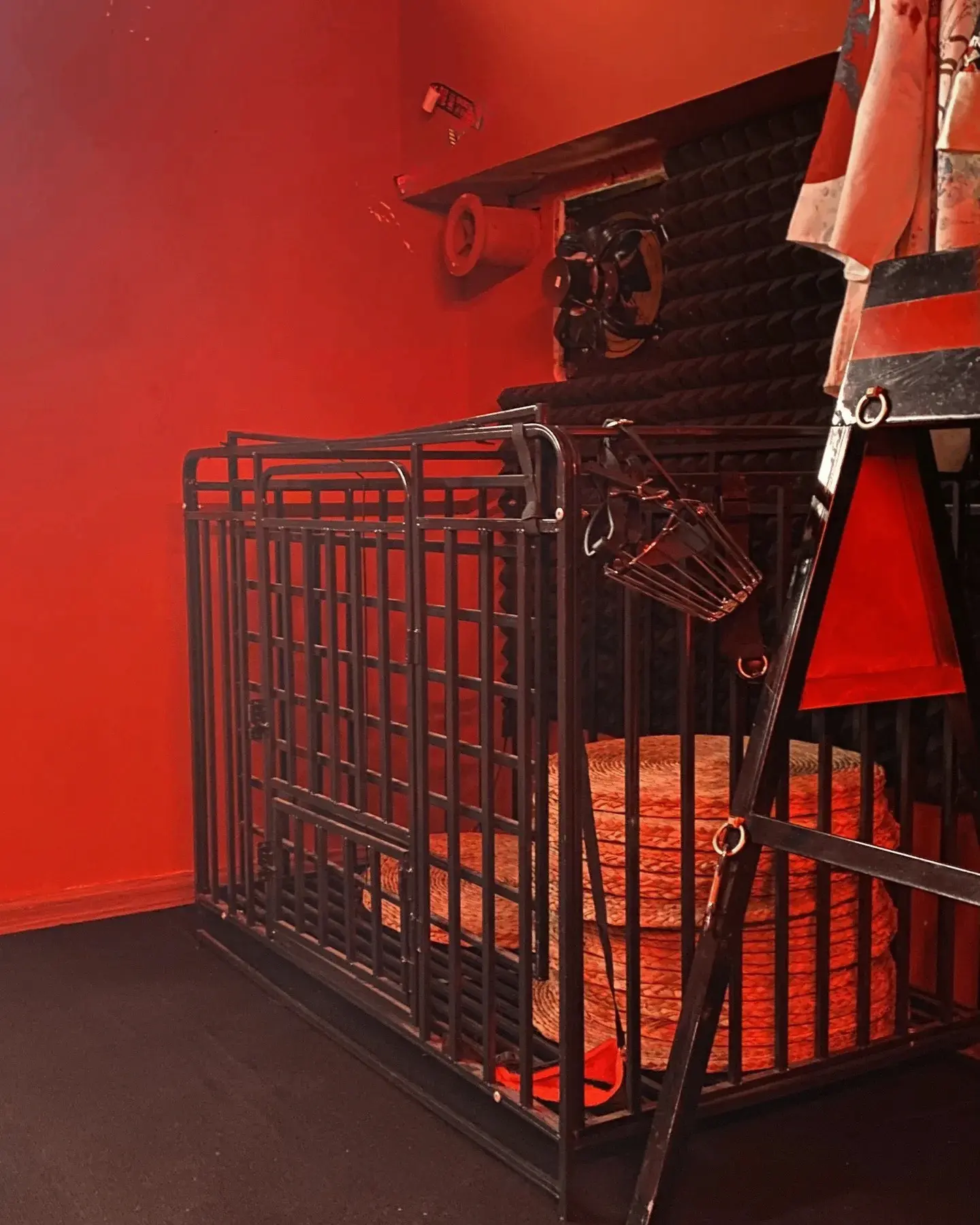 西檬之家k8猫系的世界探索:如何融入这个独特的亚文化? 一