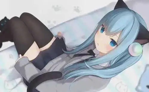 西檬之家s倾向新手如何识别与探索? 一