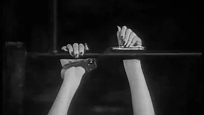 西檬之家字母圈CD文化解密与入门指南 一