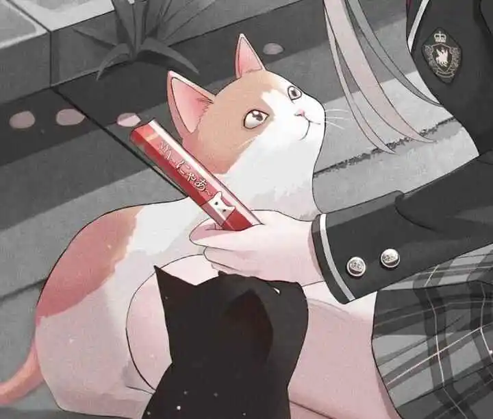 西檬之家探索SM亚文化:新手必读的入门指南 一