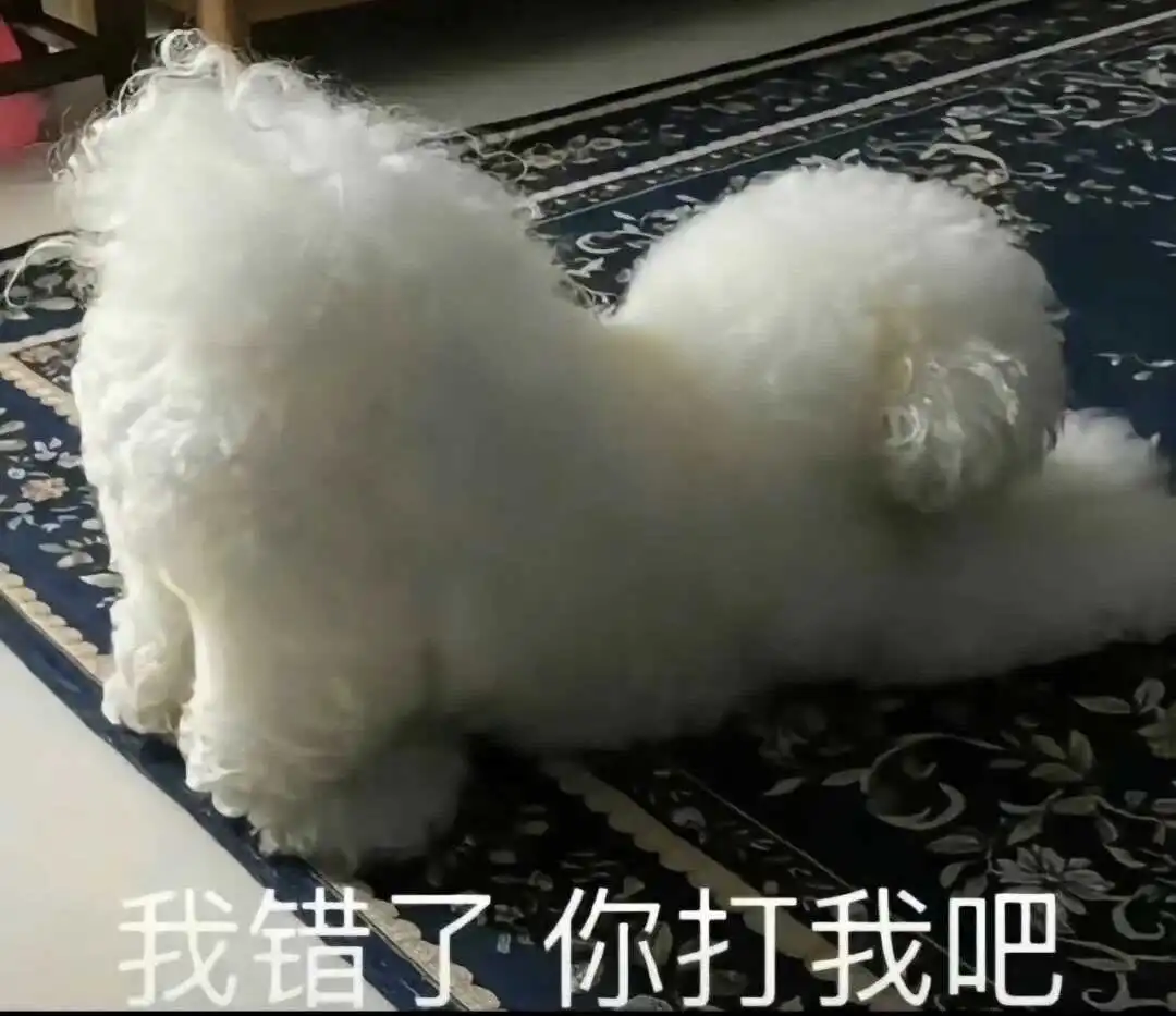 西檬之家新人如何判断自己是否有s倾向 一