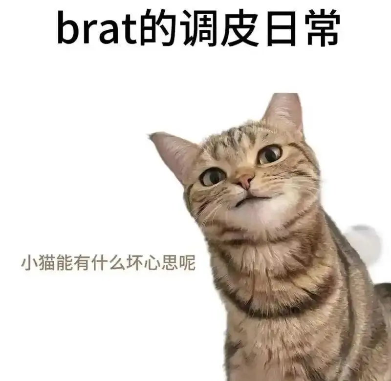 西檬之家字母圈管教是什么? 一