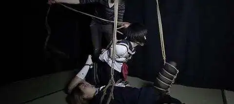 西檬之家BDSM入圈新人指南 一