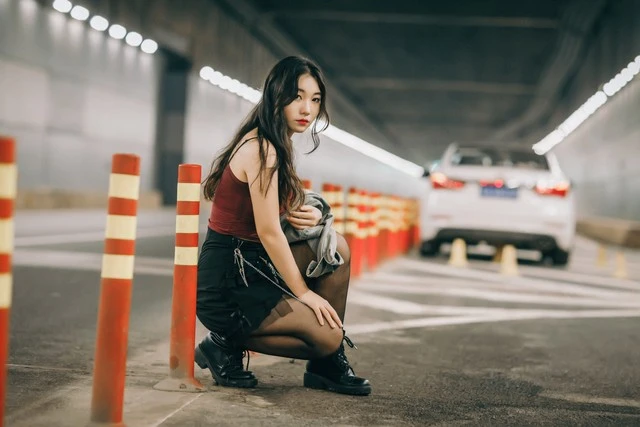 西檬之家k9是什么?你的犬系属性是什么 一