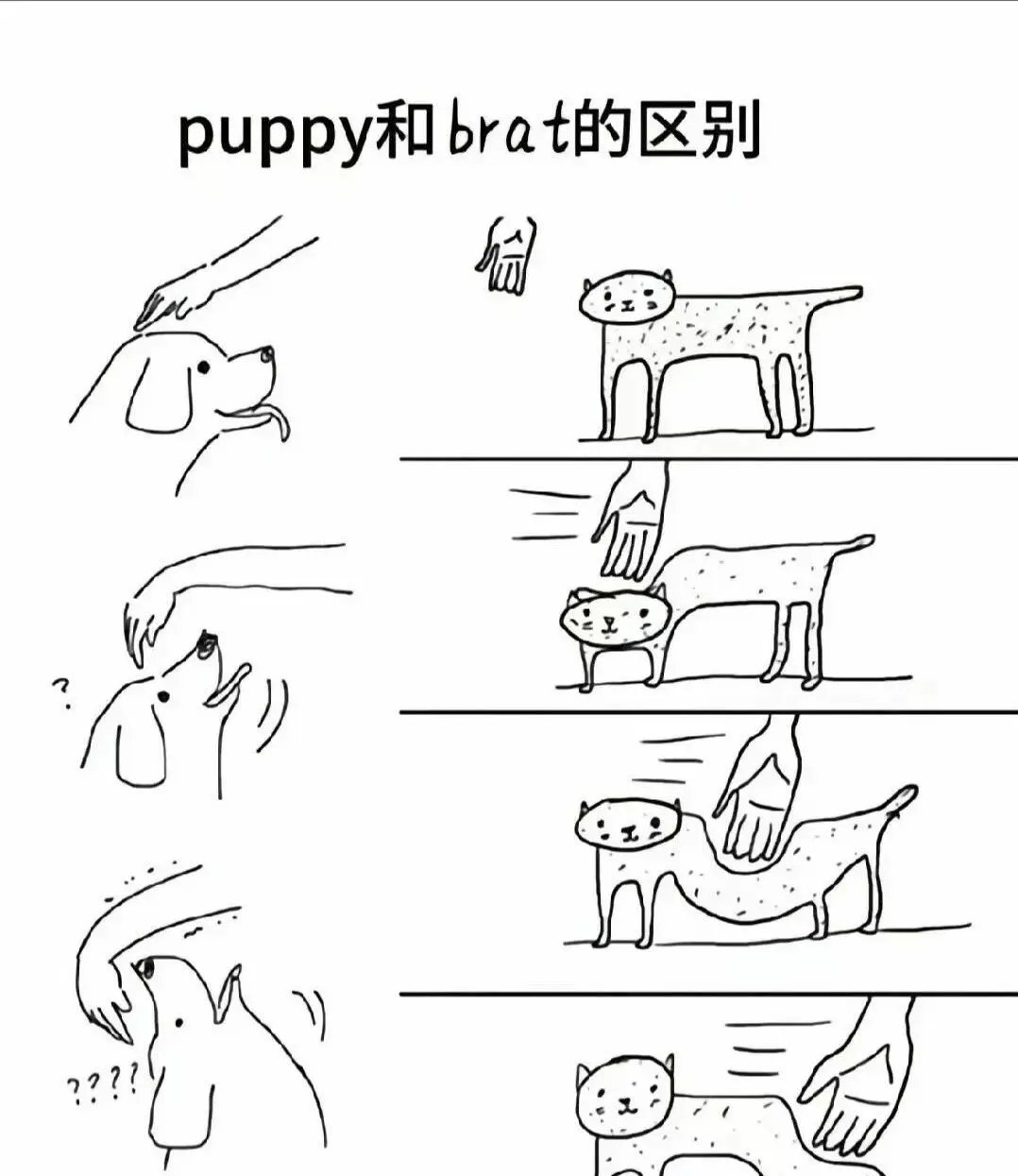 西檬之家Dirty Talk怎么玩?字母圈新人入圈 一