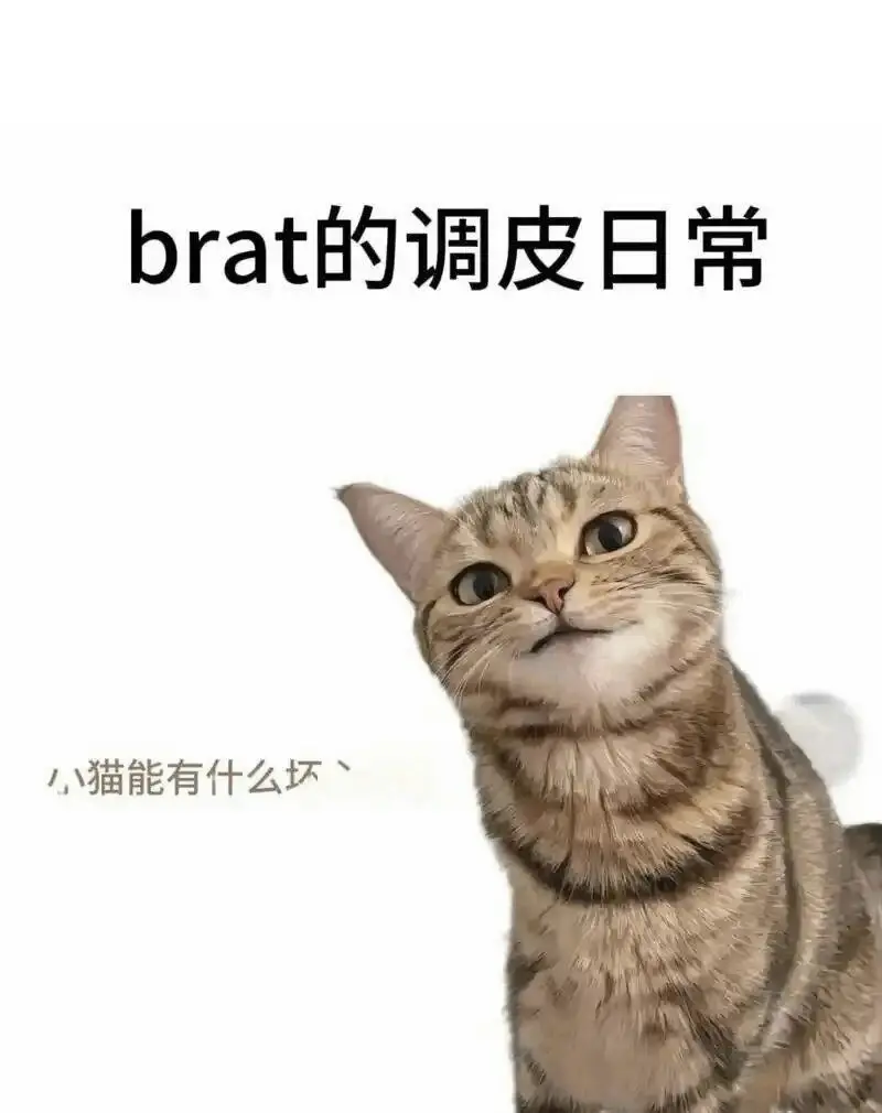 西檬之家字母圈TK是什么意思? 一