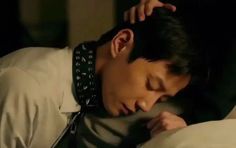 西檬之家BDSM新人如何入门? 一