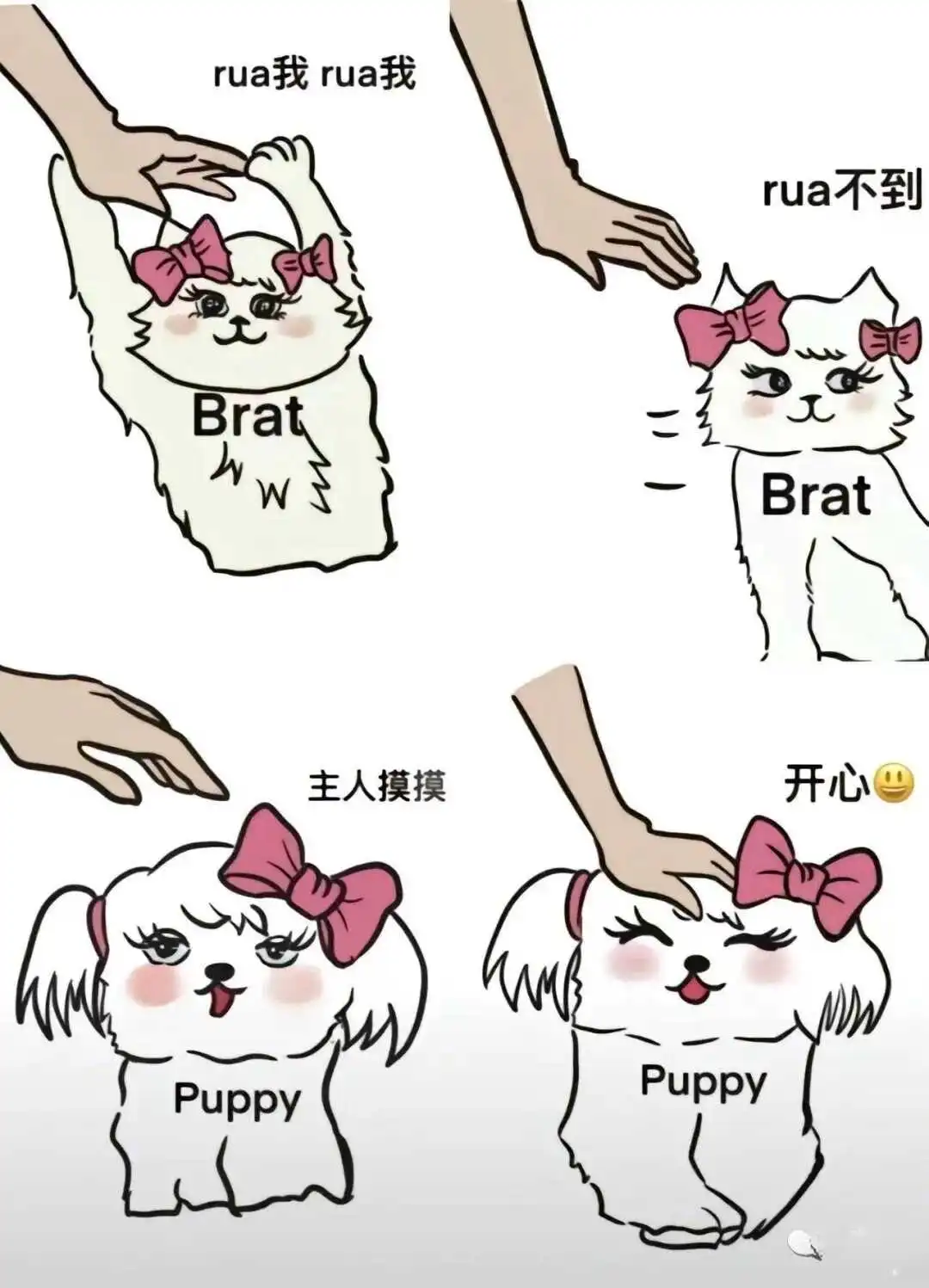 西檬之家字母圈的小圈是什么? 一
