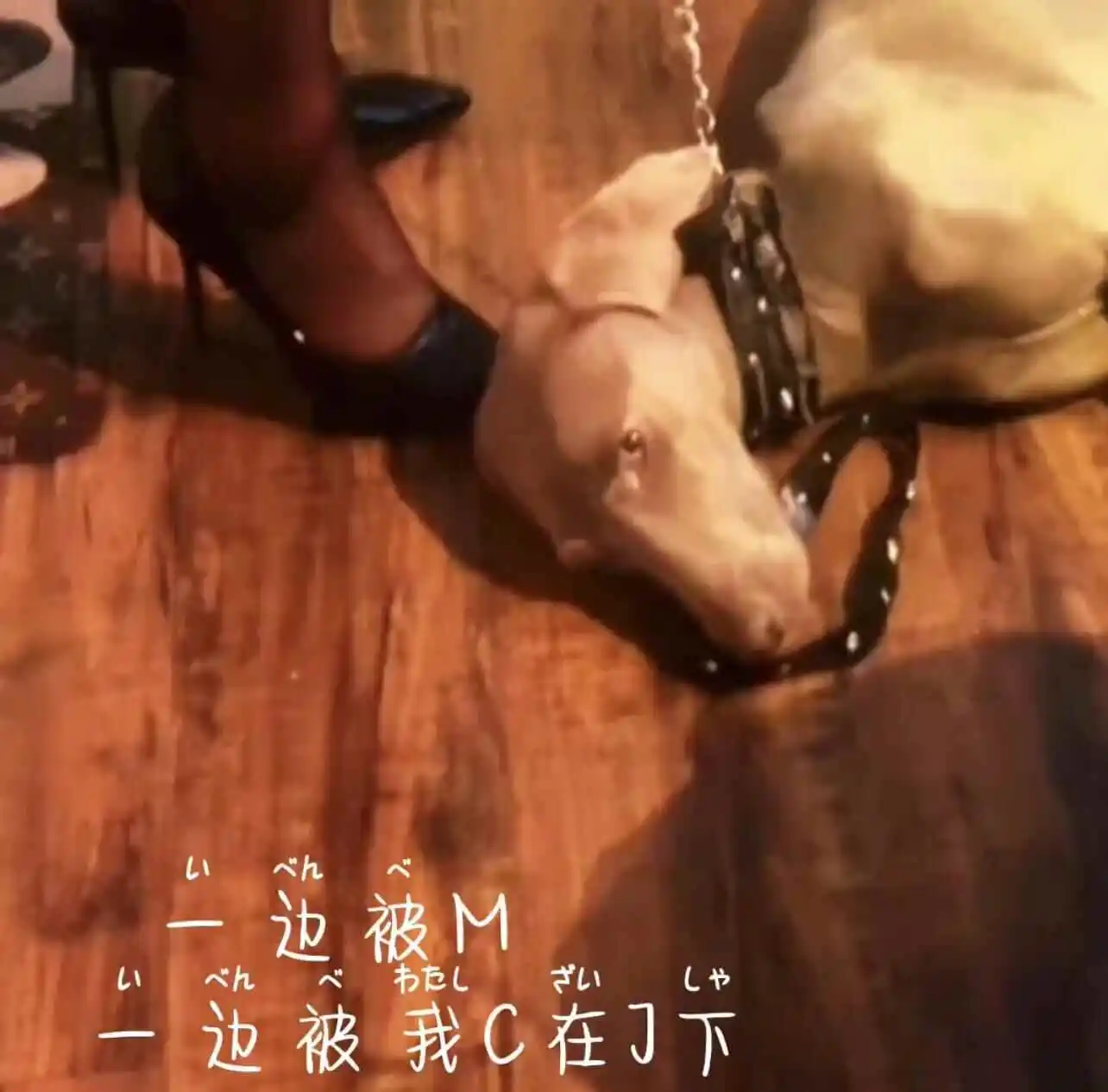 西檬之家BDSM恋物癖详解 一