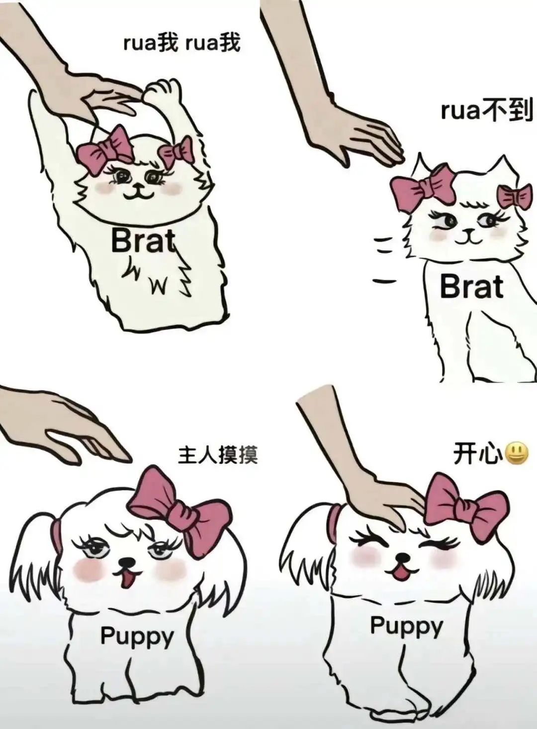 西檬之家圣水是什么?字母圈概念解析 一